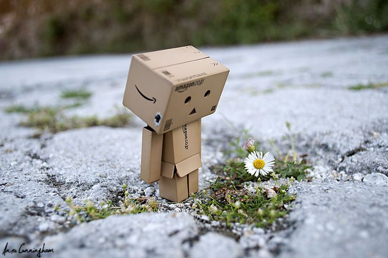 File:Danbo likes flowers.jpg