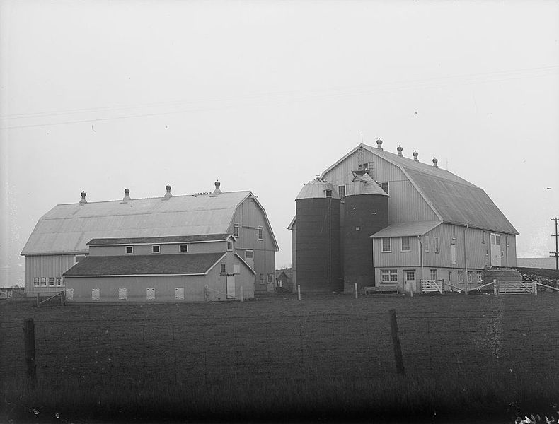 File:Donlands farm 1925.jpg