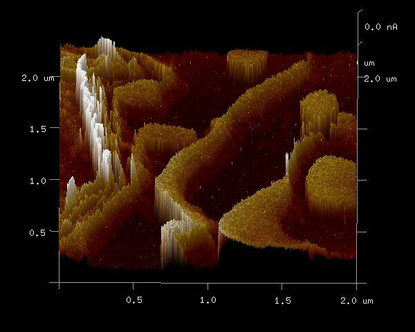 File:Ferritin tunneling (cropped).tif