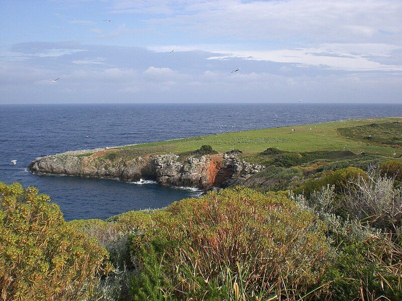 File:Giannutri runway.jpg