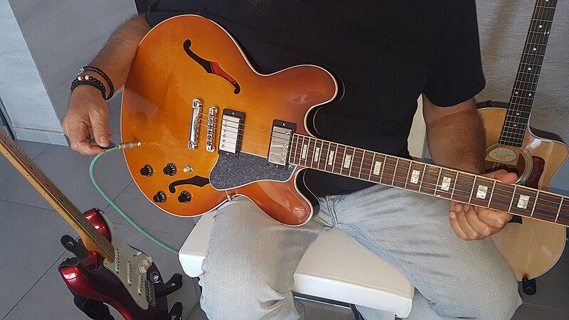 File:Gibson ES-335.jpg