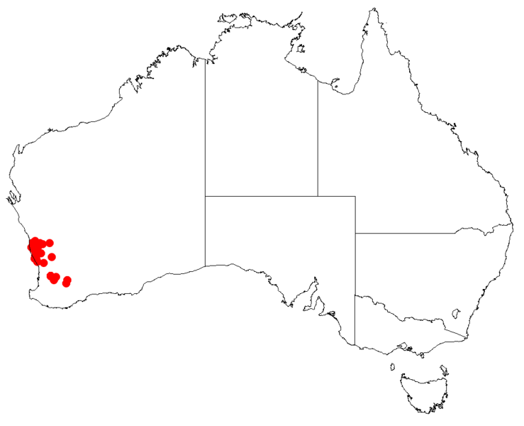 File:Hakea anadeniaDistMap7.png