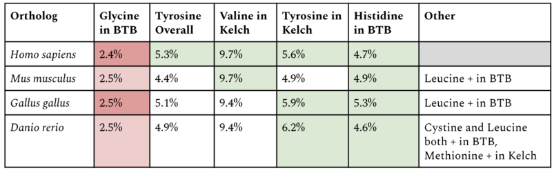 File:KLHL28 AA Composition.png