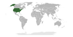 Location of the United States