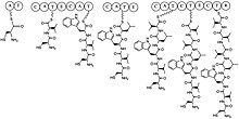 ChemDraw image depicting the synthesis of lugdunin. The synthesis proceeds in typical NRPS fashion with four distinct domains.