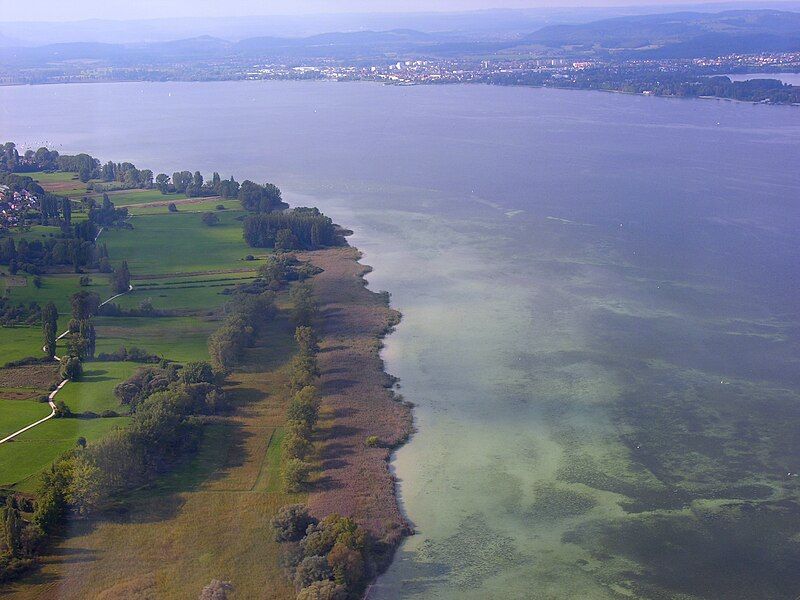 File:Near Gaienhofen.jpg