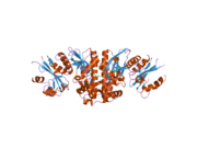 2i7n: Crystal structure of human PANK1 alpha: the catalytic core domain in complex with AcCoA