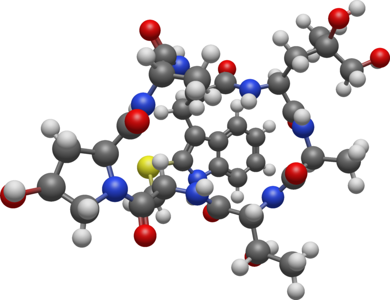 File:Phalloidin 3D BS.png