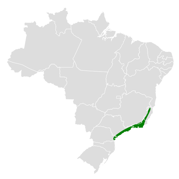 File:Phylloscartes oustaleti map.svg