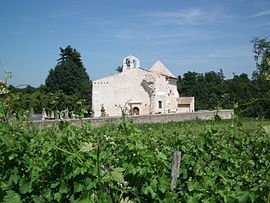 Ruins of the abbey