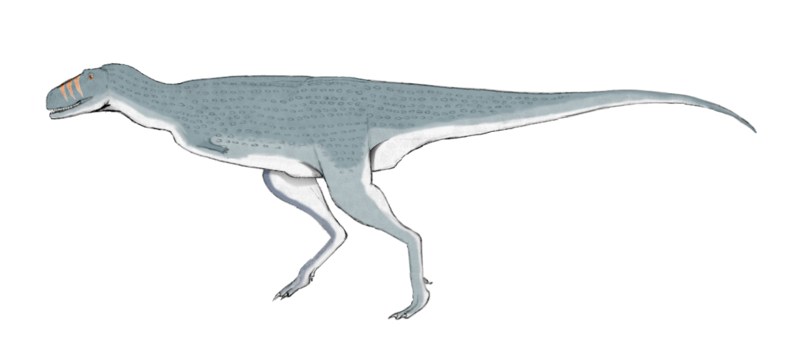 File:Quilmesaurus SW.png