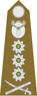 File:SAA-OF-8.svg