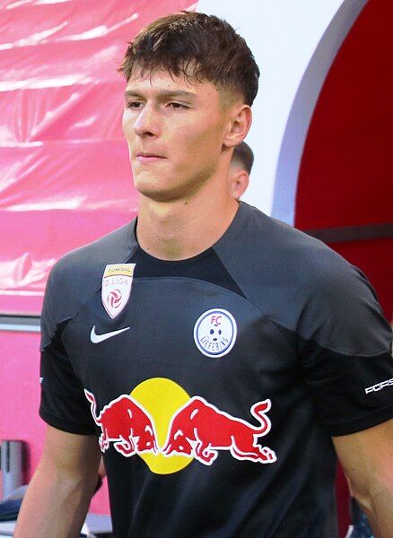 File:Salko Hamzic (cropped).jpg