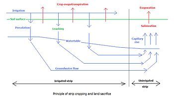 Fig. G4. Principle of strip-cropping and sacrifice of the permanently unirrigated strips to where the soil salinization is directed.