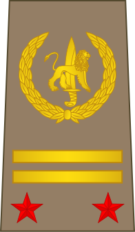 File:12-ROCongo Army-LTC.svg