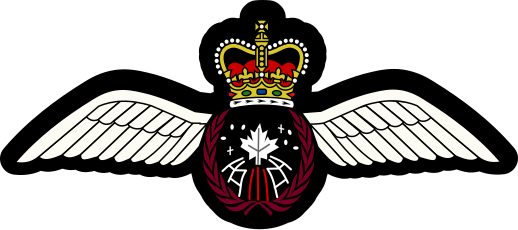 File:Astronaut, RCAF.svg