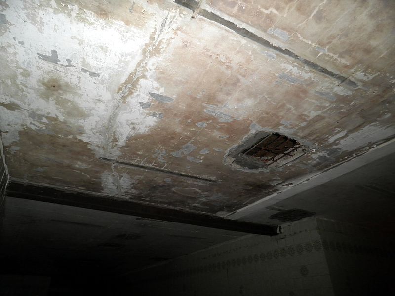 File:Cannerberg-Kitchen-Ceiling.jpg