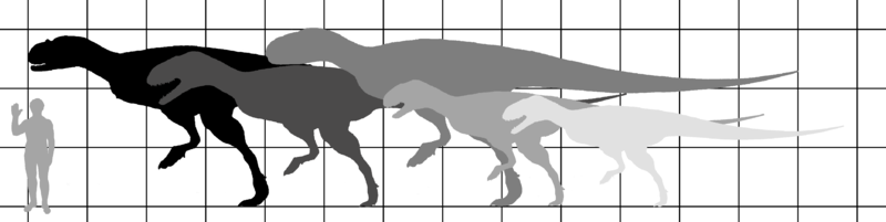 File:Carnotaurini sizes.png