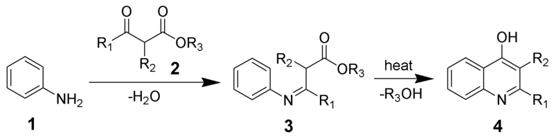 File:Conrad-Limpach Reaction Scheme.png