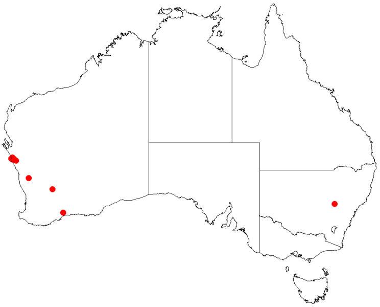 File:Darwinia oldfieldiiDistMap25.png