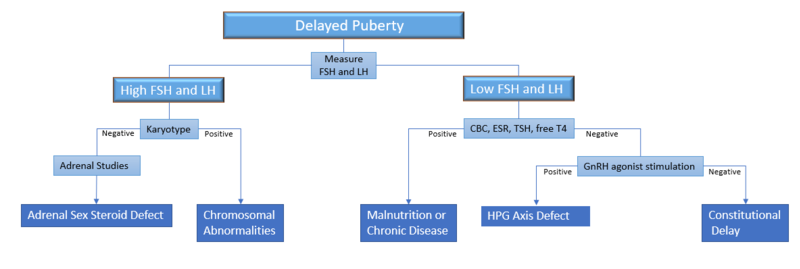 File:Delayed Puberty.png