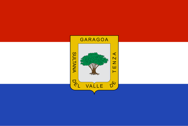 File:Flag of Garagoa.svg