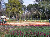 Plant sculptures, 2005