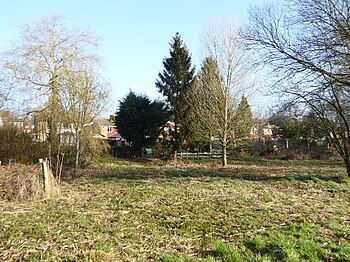 Hempstead Meadow