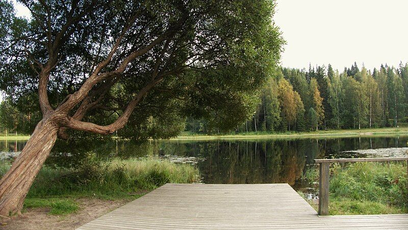 File:Kangaslampi pond Jyväskylä.jpg