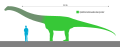 Size of Nemegtosaurus and/or Opisthocoelicaudia. The latter was the only FA missing one.