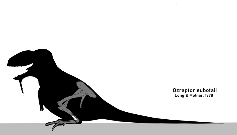 File:OzraptorBones.png