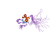 2dk5: Solution structure of Winged-Helix domain in RNA polymerase III 39KDa polypeptide