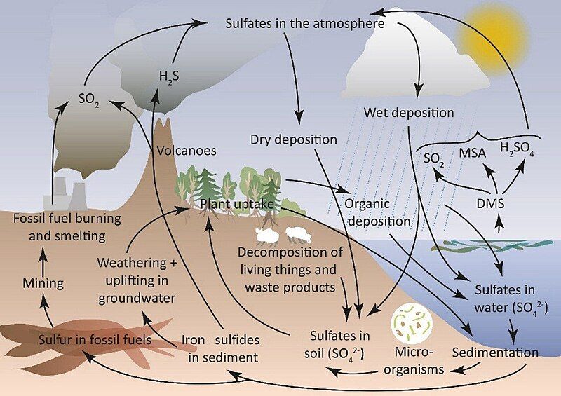 File:Schematic-figure-of-the-sulfur-cycle.jpg