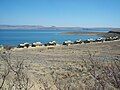 A campsite with chalets at the water's edge of the Sterkfontein Dam reservoir within the reserve. Note the dry conditions (conducive to bush fires) in the wintertime.