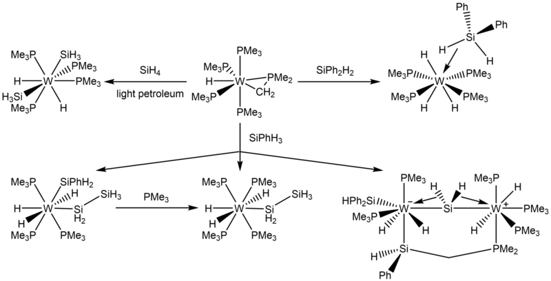 File:W(PMe3)4(η2-CH2PMe2)H with Silanes.png