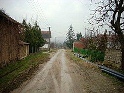 Street in Crkvice