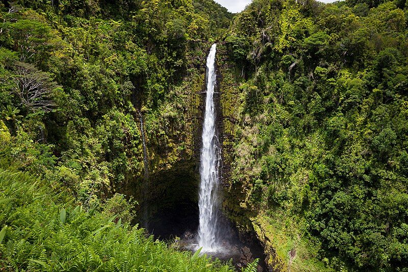 File:Akakafalls-hawaii.jpg