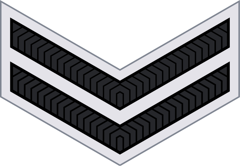 File:Assam Rifles OR-4.svg