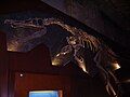 Baryonyx