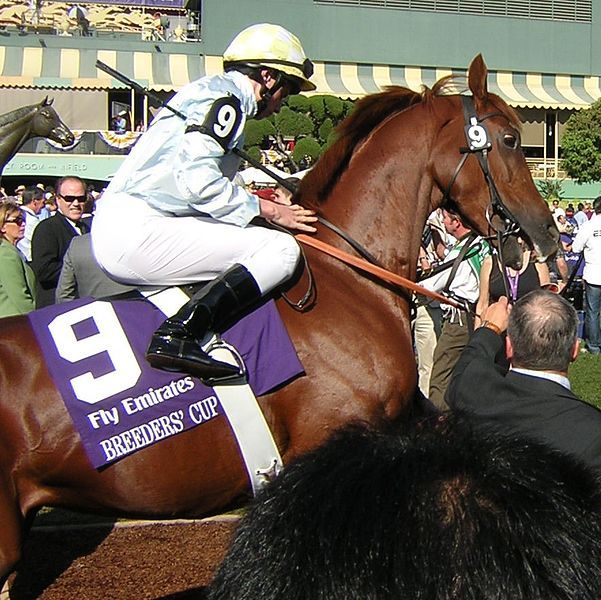 File:Conduit Breeders Cup.jpg