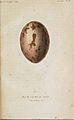 Egg of Aramus guarauna painted by Louis Victor Bevalet (1808–), engraved by Annedouche