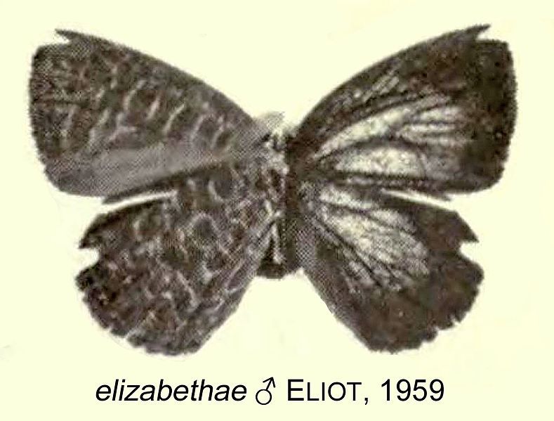 File:ElizabethaeEliot1959OD.jpg