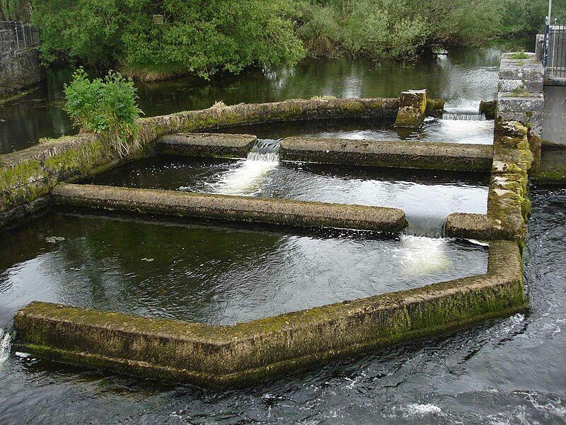 File:Fish-ladder-River-Fergus-Ennis.jpg