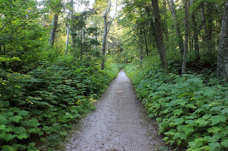 File:Gfp-wisconsin-whitefish-dunes-hiking-walkway.jpg