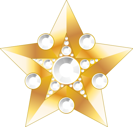 File:Large Marshal's Star.svg