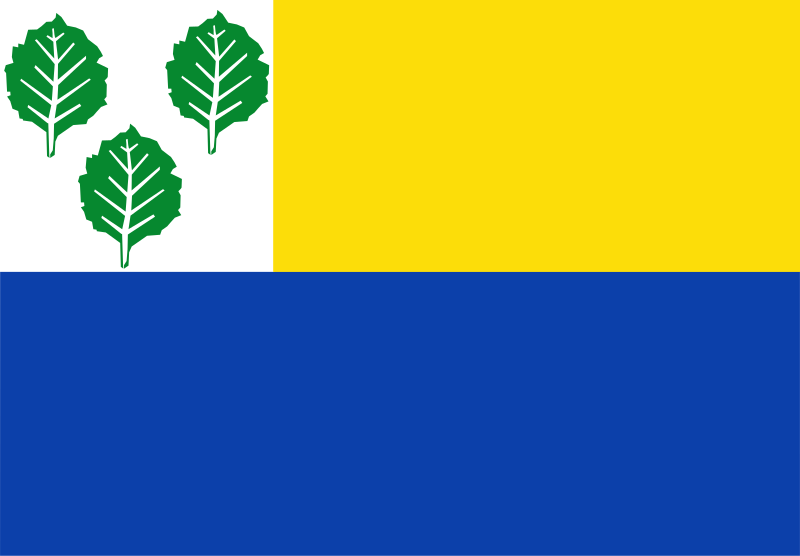 File:Oldebroek vlag.svg