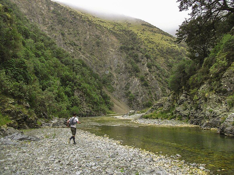 File:Orari River running.jpg