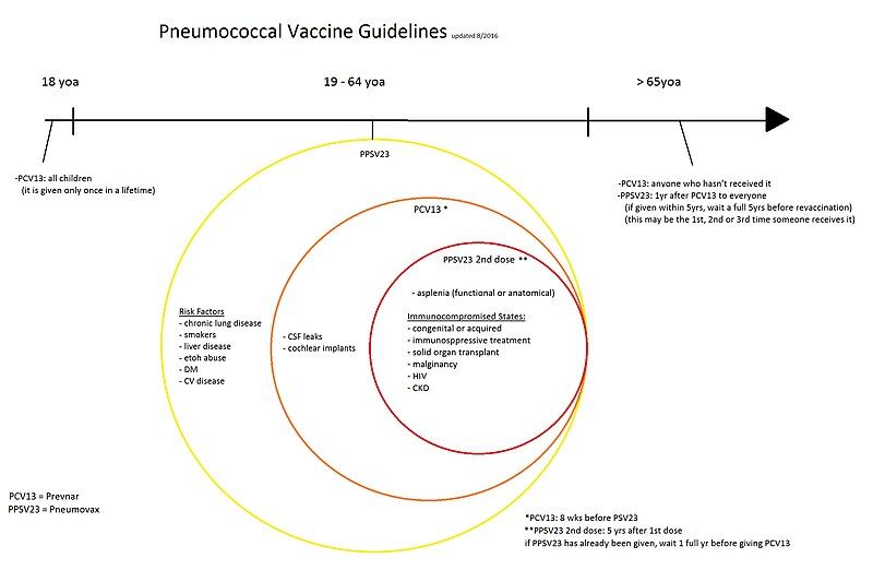 File:Pneumococcal% 20vaccine% 20guidelines.jpg