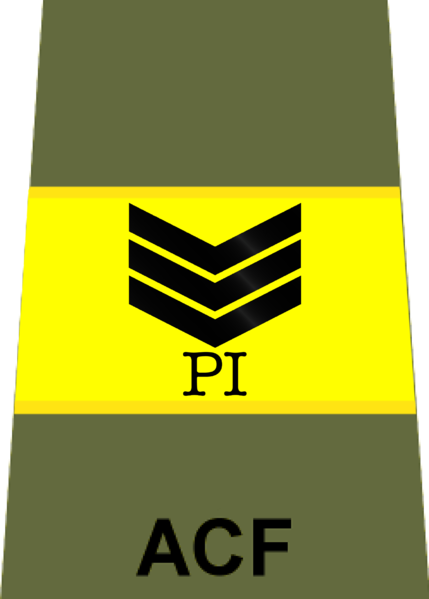 File:Probationary Sergeant ACF.png