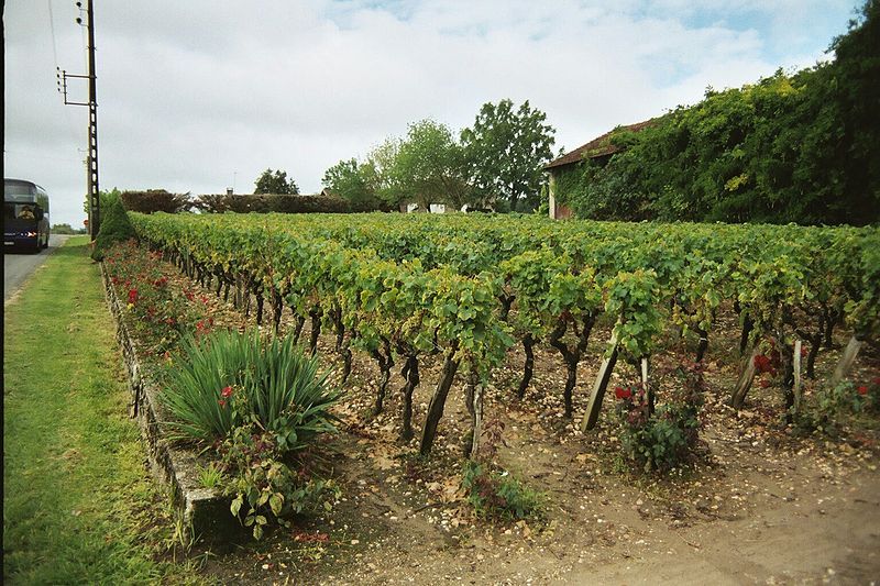 File:RayLafon07.jpg